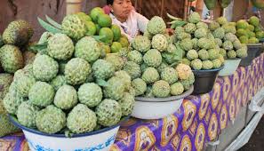 Keressen annona squamosa malay called buah nona témájú hd stockfotóink és több millió jogdíjmentes fotó, illusztráció és vektorkép között a shutterstock gyűjteményében. Manfaat Super Srikaya Bagi Kesehatan Dari Jantung Sampai Mata Cantik Tempo Co
