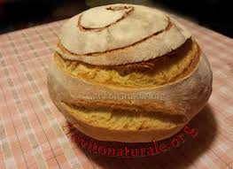 Ma se vogliamo mantenerci più leggeri prepariamo del pane in casa. Pane Con Farina Di Kamut E Lievito Naturale O Pasta Madre