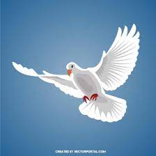 White Dove Vector Image White Doves Doves Cry White Pigeon