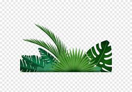 Green Leaves Illustration Leaf Tropics Banana Leaf Background Leaf Maple Leaf Png Pngegg Choose from hundreds of free leaf backgrounds. green leaves illustration leaf tropics
