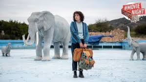 Primavera, ninguém fica imune ao poder das estações e ao seu ciclo anual de nascimento, crescimento e envelhecimento. Shmdka0woesfm