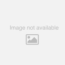 resume paper 100% cotton white 100ct