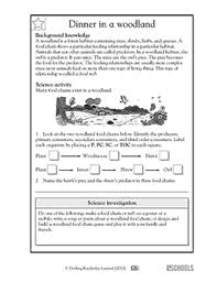 Food Chains In A Woodland 5th Grade Science Worksheet Greatschools Science Worksheets Third Grade Science Worksheets Food Chain