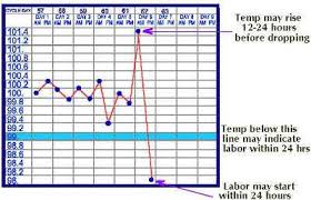 Whelping Chart Temperature Bedowntowndaytona Com