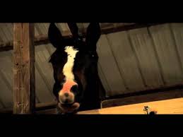 If they only knew souls cannot be fooled. The Apache Relay Power Hungry Animals The Way Way Back Youtube