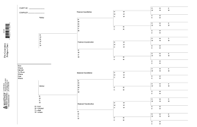 amazon com five generation ancestor pedigree chart arts