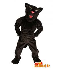 Tons of awesome black panther marvel wallpapers to download for free. Erwerben Sie Black Panther Maskottchen Panther Kostum In Tiger Maskottchen