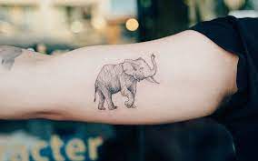 After all, tattoos for girls are no longer taboo and studies indicate the number of tattooed females actually exceed men with ink. 101 Best Elephant Tattoos Cool Design Ideas 2021 Guide