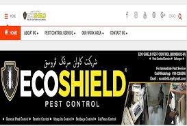 But from my brief understanding of my. 7 Best Malaysia Termite Control Service In 2021