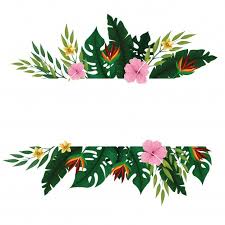 Download Summer Tropical Blank Card Frame For Free In 2020 Flower Background Wallpaper Floral Border Design Flower Clipart