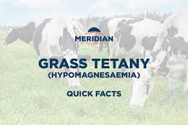 Image result for Tetany