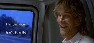 Explore and share the best point break gifs and most popular animated gifs here on giphy. Farce The Music Point Break