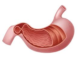 Possibili complicazioni nel rimuovere polipi del colon. Gastroenterologie Max Medica