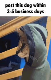 Maybe you would like to learn more about one of these? 3 Day Weekend Meme Gifs Tenor