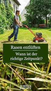 Rasen Vertikutieren Wann Ist Der Richtige Zeitpunkt Vertikutieren Rasen Rasen Luften