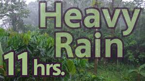 Heavy Rain 11 Hours Sounds Of Nature 21 Of 59 Pure Nature Sounds Download Series Https Gum Co Nature 650 Hours Of Mp Nature Sounds Nature Pure Products