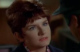 The Green Hornet" The Silent Gun (TV Episode 1966)