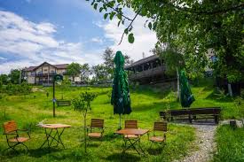 Experiencemuzeul municipal campulung muscel.promoting your link also lets your audience know that you are featured on a. Conacul De Pe Deal 4 Campulung Muscel Cazare La Conacul De Pe Deal 4 Campulung Muscel