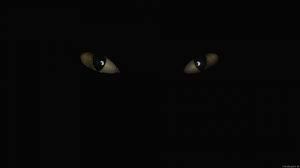 Dark wallpapers hd, desktop backgrounds, images and pictures 1920×1080. Free Download Dark Wallpaper 23 Dark Wallpapers Black Wallpapers Backgrounds 1920x1080 For Your Desktop Mobile Tablet Explore 76 Dark Background Wallpaper Black Background Wallpaper Black And White Desktop Wallpaper Dark Art Wallpaper