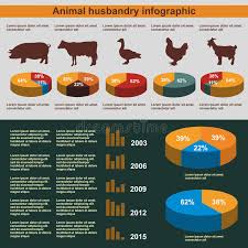 Animal Husbandry Infographic Agriculture Flat Design