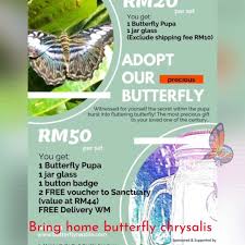 Sangeeee at taman ramasangeeee at taman rama. Taman Rama Rama Dan Reptilia Melaka Fly With Us Butterfly Adoption Facebook