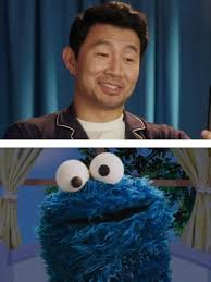 Image result for tbn:O_xs3byc5x8NoM::www.suusje.com/pics/cookiemonster.jpg