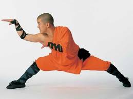 Kung Fu Snake Style Kung Fu Martial Arts Kung Fu Martial Arts Styles