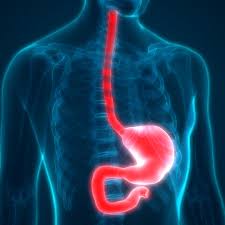 Maybe you would like to learn more about one of these? What To Expect With Esophageal Dilation