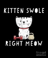 Cute animal drawings kawaii cute cartoon animals anime animals cute drawings baby animals pictures cute animal photos baby animals super cute cute little animals fuchs illustration. Funny Lifting Right Meow Cat Workout Gym Kitty Tee Drawing By Noirty Designs