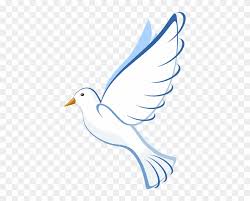 Download Original Png Clip Art File White Dove Svg Images Downloading White Dove Free Transparent Png Clipart Images Download