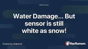 Does find my iphone work if the phone is dead? Water Damage But Sensor Is Still White As Snow Macrumors Forums