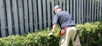 More than 29 years experience, quality work, guaranteed results. Sydney Pre Purchase Building Pest Inspections Inspect My Home