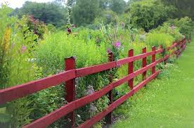 Black locust wood is very heavy, very hard. 118 Fence Ideas And Designs Different Types With Images