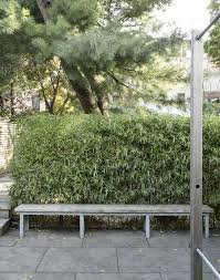 Check spelling or type a new query. 10 Things Nobody Tells You About Bamboo Gardenista