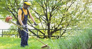 Starting salary is $10/hr depending on experience. Know Why Homeowners Go For Professional Lawn Care Services
