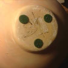 vancouver, BC for sale by owner for sale by owner "pottery"