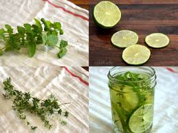 Khasiat dan manfaat air lemon. Diy Projects For The Home Natural Diy Air Freshener Recipes