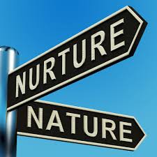 Personality Is It Nature Or Nurture Nature Vs Nurture Character Strengths Nurturing