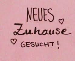 Hier wohnung zum kauf suchen & traum eigentumswohnung wie möchte ich meine neue wohnung nutzen? 2 Zimmer Wohnung Gesucht In Bonn Duisdorf Etagenwohnung Mieten Ebay Kleinanzeigen