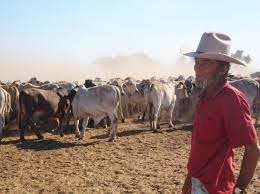 Australia S Jackaroos And Jillaroos Australian Photographers Outback Australia