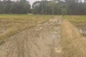 Warga Sobang Pandeglang Spill Jalan Rusak Parah Seperti Jalur Offroad : Kami Merasa Belum Merdeka - Pandeglang News