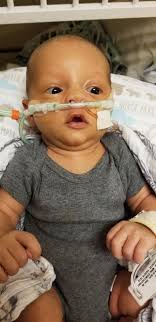 T.J Handyman Services