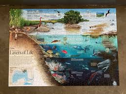 National geographic 1000 piece jigsaw puzzles. Layers Of Life By National Geographic 1000 Pieces Jigsawpuzzles