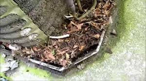 Today i just checked the wires and found on the control board r and g are. Hvac Trane Xl 1200 Condenser Cleaning Youtube