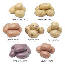 Potatoes Diabetic Health Clinic