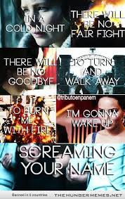 The Hunger Memes I Love This Http Ift Tt 1s2uwh2 Hunger Games Hunger Games Katniss Hunger Games Fandom