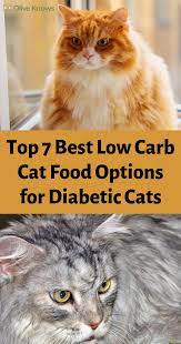 When a cat is diagnosed with diabetes, the vet would suggest a change in the pet's diet. Top 7 Best Low Carb Cat Food Options For Diabetic Cats Oliveknows Cat Food Cat Health Diabetic Cat Food