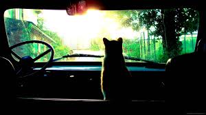 Chill Instrumental Hiphop Beat Feelgood Summer Mix Part 2 Papel De Parede Hipster Imagens Hipster Tumblr Wallpaper