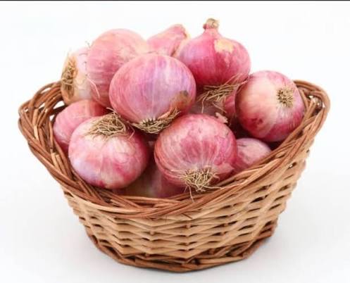 Onion