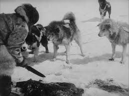 Yet in the movie nanook of the north there are no polar bears. Nanook Of The North 1922 Imdb